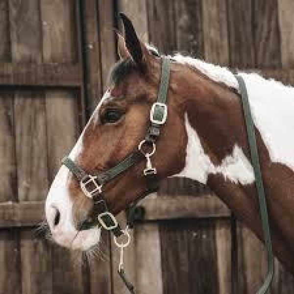 Kentucky Plaited Grime