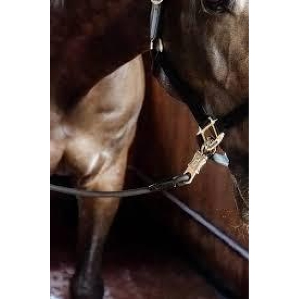 Kentucky Horse Box Lead & Cross tie silikon